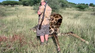 Muzzleloader Hunting Africa Extreme giraffe hunts [upl. by Wojcik]