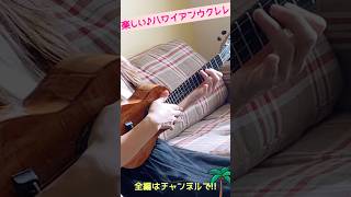 【Kuʻu hoa クウホア】faster ver ハワイアンウクレレ弾き語り🌺 [upl. by Nylssej]