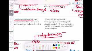 Oligodendrocytes neurology 19  First Aid USMLE Step 1 in UrduHindi [upl. by Nilde]