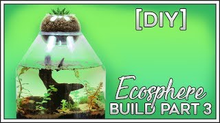 DIY Ecosphere  Planting Part 3 [upl. by Banquer131]