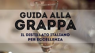 Guida alla GRAPPA  Il distillato italiano per eccellenza [upl. by Cordell]