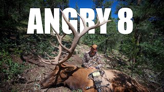 Angry 8 I Archery Elk Hunt [upl. by Desiree]