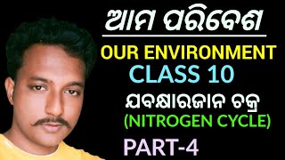 ଯବକ୍ଷାରଜାନ ଚକ୍ର NITROGEN CYCLE class 10 life science chapter9 in odia  ଆମ ପରିବେଶ [upl. by Norihs]