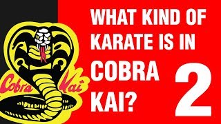 What Kind of Karate is in Cobra Kai PART 2  ART OF ONE DOJO [upl. by O'Callaghan]