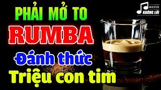 Rumba Buổi Sáng Đánh Thức Triệu Con Tim  Hòa Tấu Rumba Không Lời 2024  Hòa Tấu Guitar Hải Ngoại [upl. by Worden172]