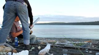 Potato Cannon at Marrowstone Island [upl. by Clementine]