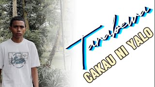 Tarabewa  Cakau Ni Yalo Official Music Video [upl. by Eirrot]