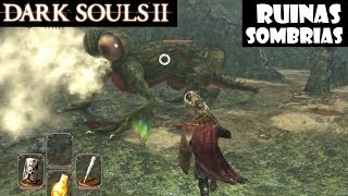 Dark Souls 2 guia RUINAS SOMBRIAS  Hombre escorpión pacto peregrinos de la oscuridad  Ep25 [upl. by Jaala]