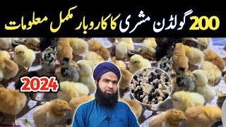 Golden misri business in pakistan  poultry farm business plan  200 hens complete profit [upl. by Sachiko]