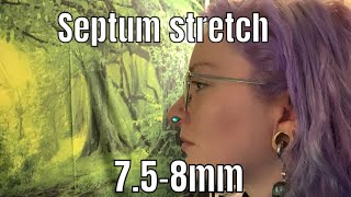 Stretching my septum to 8mm or 0g 75mm to 8mm stretch [upl. by Seve]