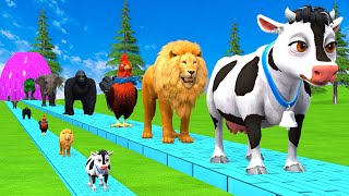 Paint amp Animals CowGorillaElephantGiraffeTigerLion Fountain Crossing Transformation Cartoon [upl. by Dulciana]