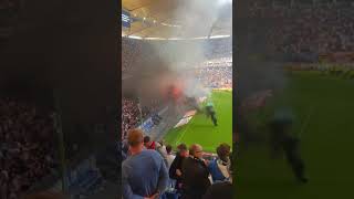 Hamburg SV Abstieg 2018  Die ganzen 10 Minuten [upl. by Tiphani]