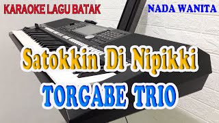 SATOKKIN DI NIPIKKI KARAOKE BATAK TORGABE TRIO ll NADA WANITA FDO [upl. by Madelina]