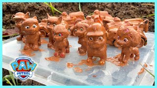 Paw Patrol Mighty Pups Covered in Mud Can You Help Us Clean Them [upl. by Alra259]