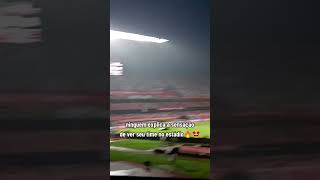 Morumbi melhor estádio do Brasil [upl. by Stockton816]