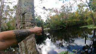 Paradise Road DeLand Florida Post Hurricane Milton Receding Flood Waters [upl. by Nairahcaz]