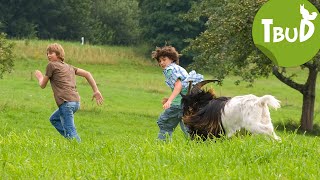 Bocksprünge Folge 7  Tiere bis unters Dach  SWR Plus [upl. by Erena]