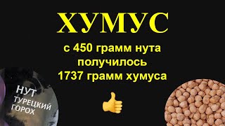 Хумус простой рецепт Как приготовить хумус из нута в домашних условиях [upl. by Hahcim588]