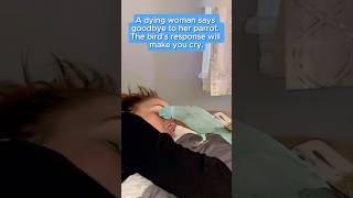 A dying woman says goodbye to her parrot The birds response will make you cryfyp foryou [upl. by Fraya]