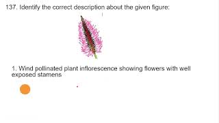 Sexual reproduction in flowering plants  Wind pollinated inflorescence with well exposed stamens [upl. by Bak]