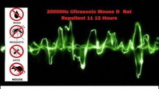 Ultrasonic Mouse and Rat Repellent 12 Hours  20000Hz  No ads [upl. by Dnomaid]