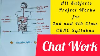 All Subjects Project Work for 2nd amp 4th Class  CBSE Syllabus  Creative Ideas amp Easy Tips [upl. by Marylynne302]