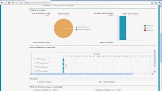 Salesforcecom RFP Process and Milestones PM App [upl. by Asek]