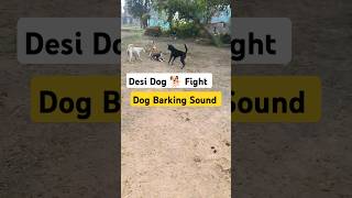 Dog Barking Sound  Dogs Fight Sound  Dog Barking Sound Effect  Desi Dog Barking  shorts dog [upl. by Gearard691]