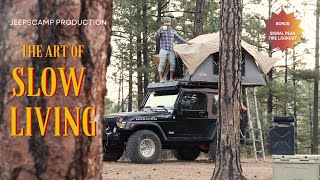 Under the Tall Pines of Gila National Forest  Signal Peak Fire Lookout [upl. by O'Donoghue]