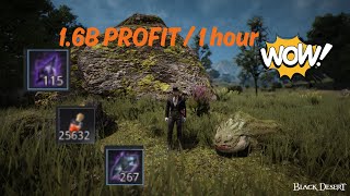 BDO Life 16B Profit  Lizard Blood 2024 [upl. by Socram890]