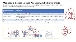 Monogenic Disease Linkage Analysis with Pedigree Charts [upl. by Omiseno]