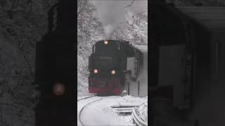 Brockenbahn im Schnee [upl. by Uriiah]