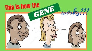 Heredity Inheritance and Variation Grade 9 Genetic Terms [upl. by Wenona]