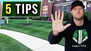 5 UNIQUE Tips  Lawn Care Tips for Beginners [upl. by Arlana856]