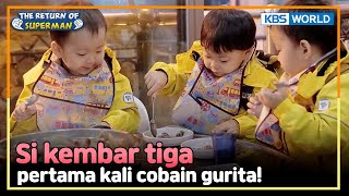 INDENG Pemakan segalanya gimana reaksi triplets coba gurita  Nostalgia Superman  KBS 141220 [upl. by Kermit]