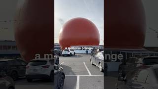 What is this MASSIVE orange in Montreal 🍊orangejulep montreal [upl. by Dorotea793]