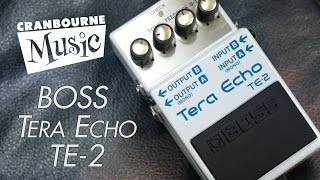 Boss Tera Echo TE2 [upl. by Katalin903]