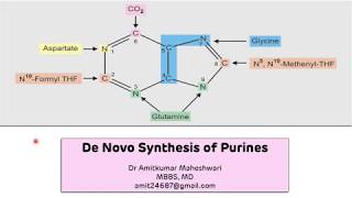 Purine Biosynthesis De Novo  Biochemistry  Molecular Biology [upl. by Georgia865]