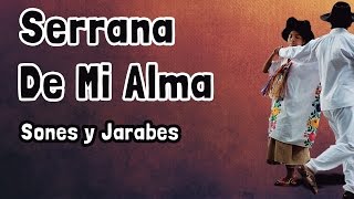 Serrana De Mi Alma ⇛ Sones y Jarabes ⇚ Banda Filarmónica Aires Oaxaqueños [upl. by Lein]