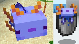 How To Get a Blue Axolotl in Minecraft [upl. by Nnahtebazile]