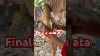 Ata palu🎣assamese minivlog vlog shortvideo shortsfeed shorts viralvideo trending [upl. by Gunnar325]