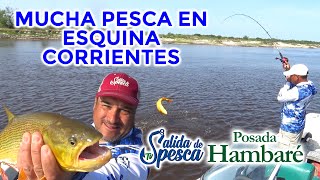 MUCHA PESCA en HAMBARÉ un paraíso en Esquina Corrientes pesca pescadeportiva naturaleza [upl. by Ednutey]