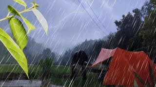 ⛺HEAVY RAIN CAMPING ⛈️ CALMING RAIN SOUNDS IN LONG HEAVY RAIN CAMPING  ASMR [upl. by Bonnes]