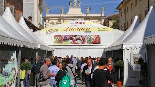 43° INCONTRO INTERNAZIONALE DI ELICICOLTURA DI CHERASCO [upl. by Ade]