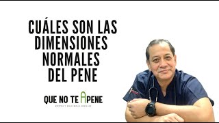 queNoTeaPene 22 Cuales son las dimensiones del pene  Dr Luis Susaníbar Urólogo y Andrólogo [upl. by Nagn907]