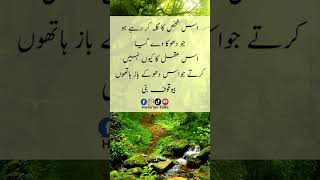 Viral Urdu Wisdom Quotes of philosophy [upl. by Dempsey]