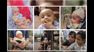 Lahore Zoo Tour  Witnessed animals living here  Hayyans First Zoo Visit [upl. by Coltun]