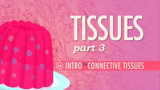 Tissues Part 3  Connective Tissues Crash Course Anatomy amp Physiology 4 [upl. by Cila]