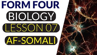 FORM FOUR  BIOLOGY  LESSON 7  THALAMUS  AFSOMALI [upl. by Dona198]