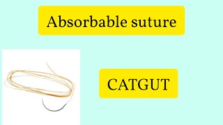 Absorbable Suture CATGUT [upl. by Ahsatak]